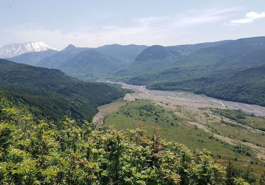 The Forest Learning Center at Mount St. Helens景点图片