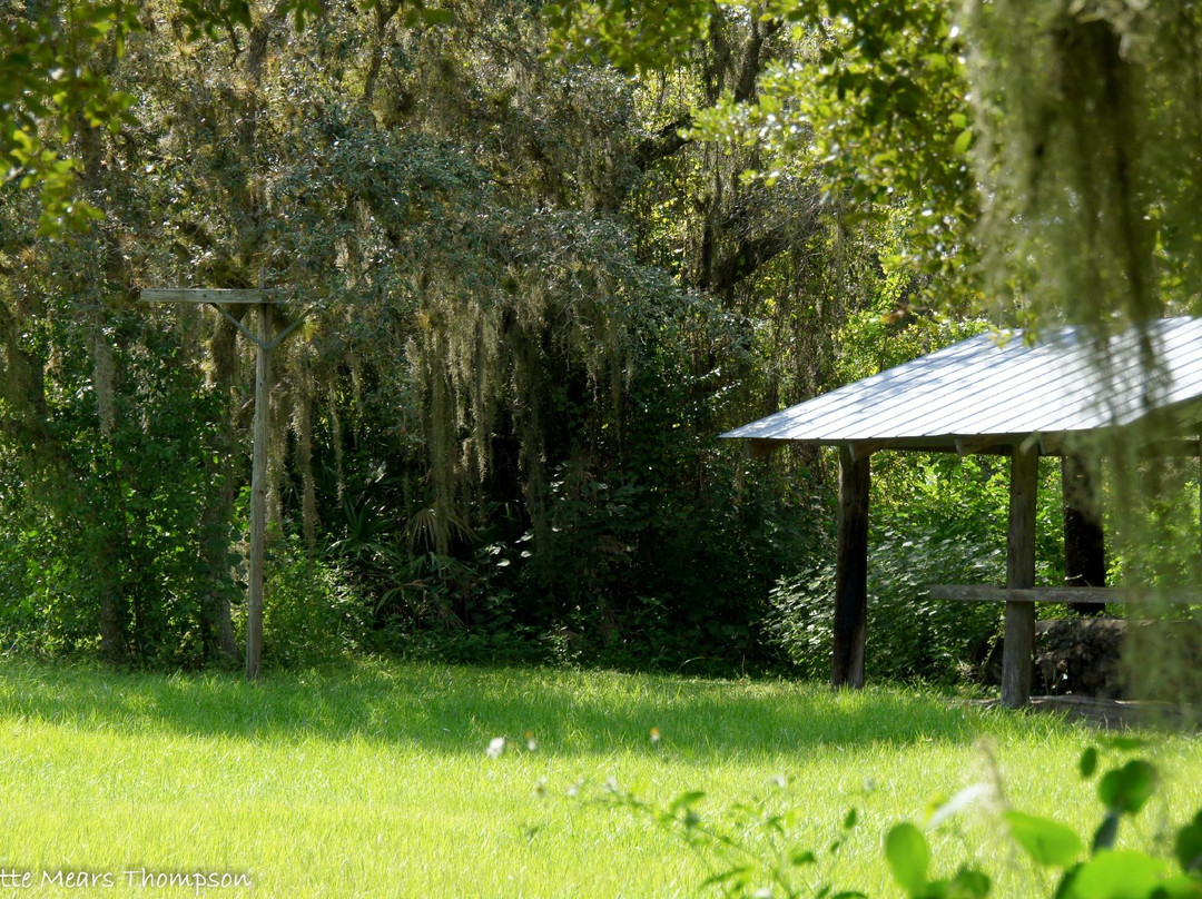 Ortona Indian Mound Park景点图片