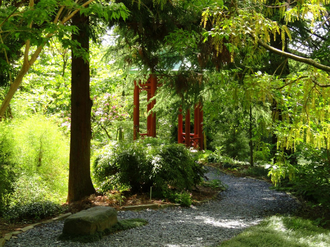 U.S. National Arboretum景点图片