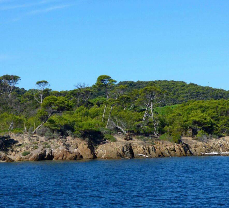 Le port de l'ile de Porquerolles景点图片