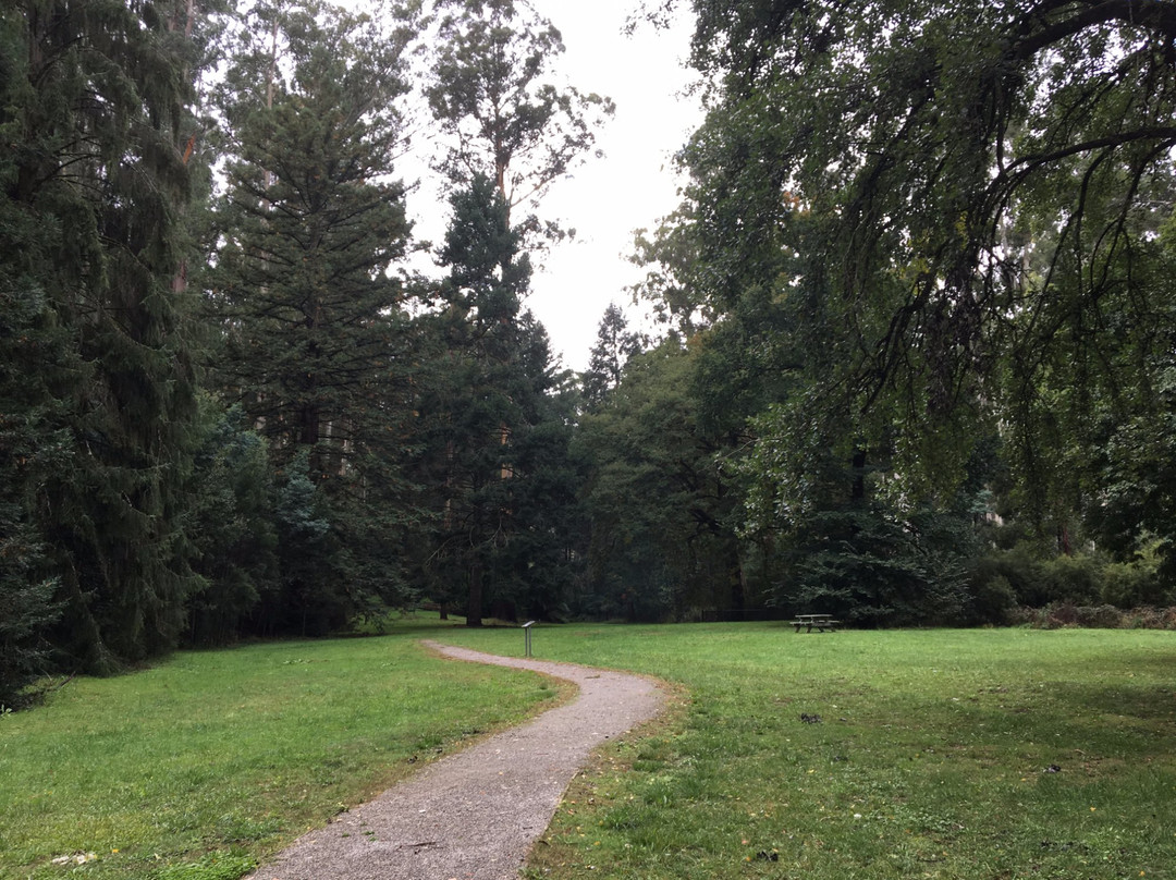 Fernshaw Picnic ground景点图片