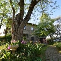 芬奇酒店住宿-Le Mimose B&B