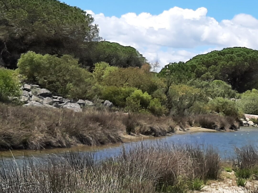 Etang du Ponant景点图片