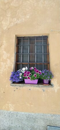 Chiesa di San Pietro ai Muricento景点图片
