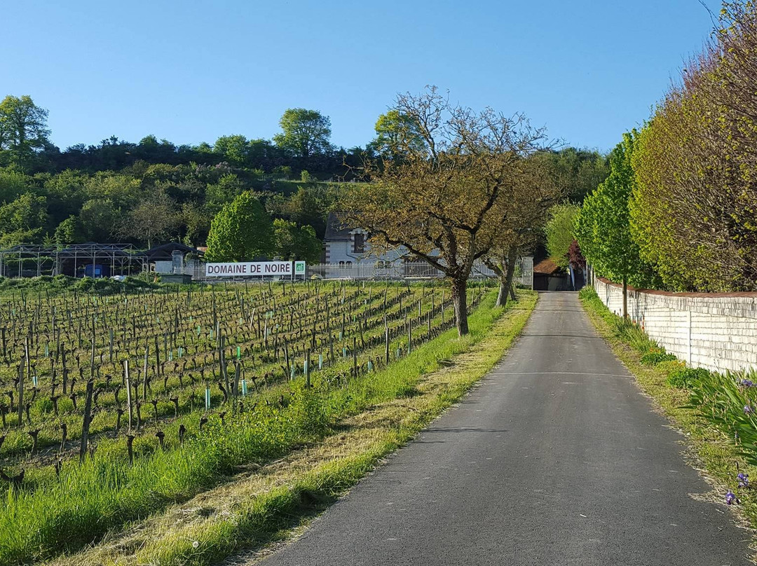 Domaine de Noiré景点图片