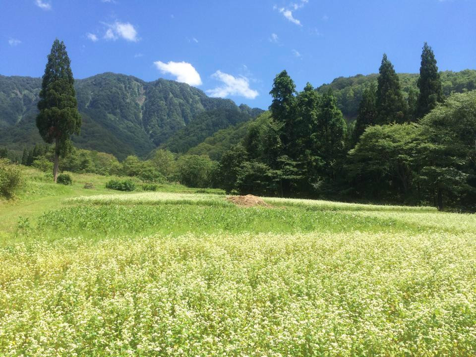 小谷村旅游攻略图片