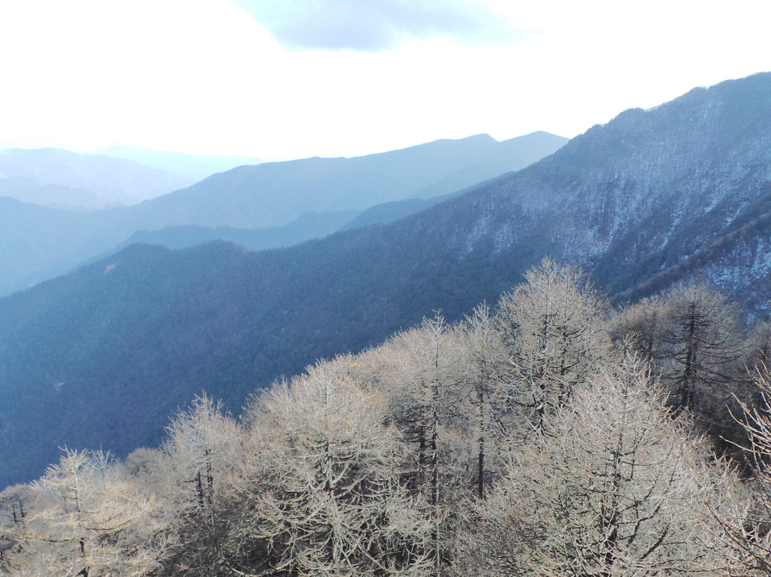 太白山国家森林公园景点图片