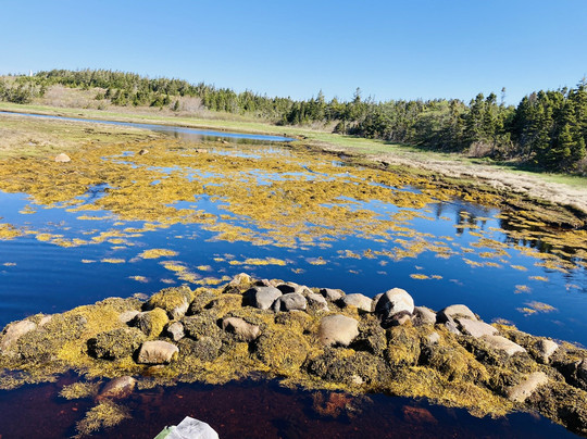 Chapel Gully Trail-Canso必去景点