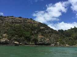 Waiuku Harbour Cruise-Waiuku必去景点