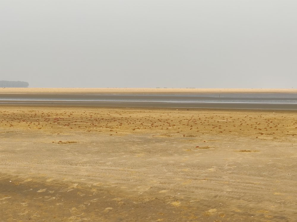 Chandipur Beach-Balasore必去景点