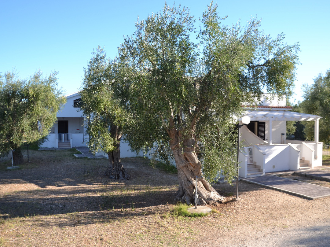 Villa Medina Residence