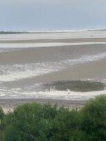 Baywood Shores Bed & Breakfast主图