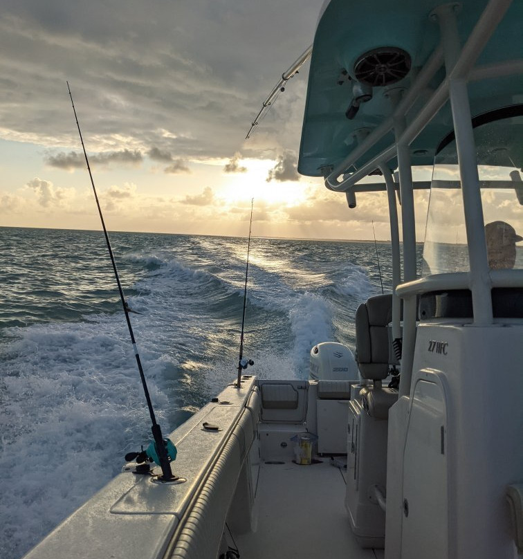Elite Boat Rentals @ IslaMarina-伊斯拉摩拉达必去景点