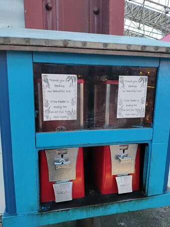 The St. Louis Wheel-圣路易斯必去景点