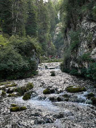 纳摩大峡谷-若尔盖县必去景点