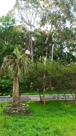 WellnessParkHotel Gagra-酒店景观