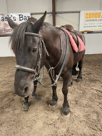 Mullaghmore Equestrian Centre Limited景点图片