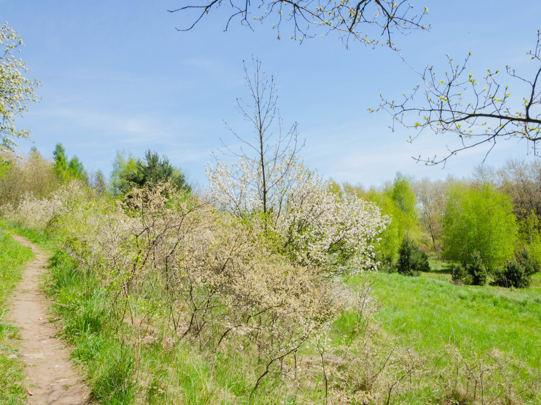 Kajasowka-Czernichow必去景点