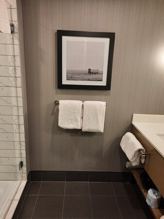 Sandman Signature Saskatoon South Hotel主图