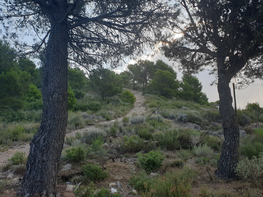 Sierra De Carrascoy-Alhama de Murcia必去景点