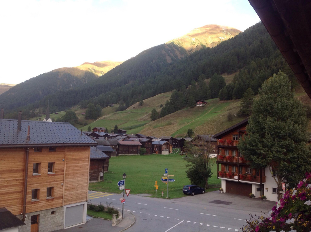 Hotel Alpina主图