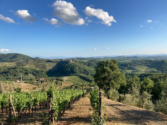 La Casa Di Bricciano - Organic Winery景点图片