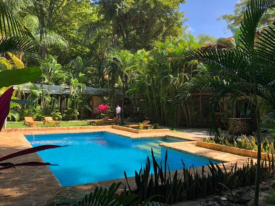 Pacífica Surf Studios主图