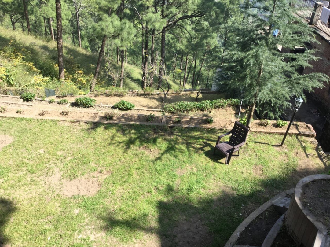 Kasauli Rocks B&B主图