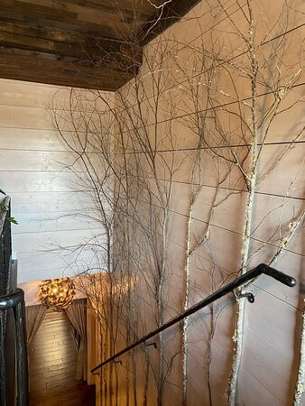 The White Birch Inn主图