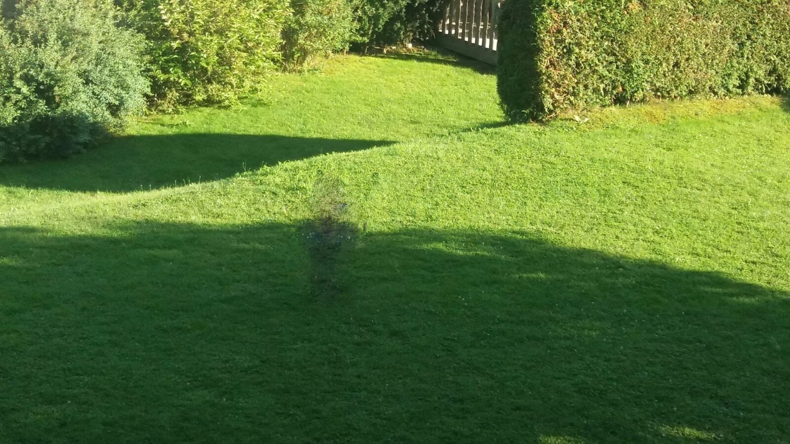 Gastehaus Fuchs-酒店景观