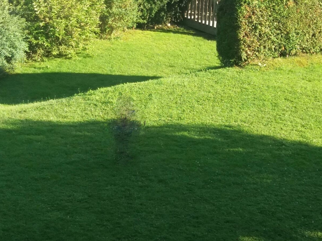 Gastehaus Fuchs主图