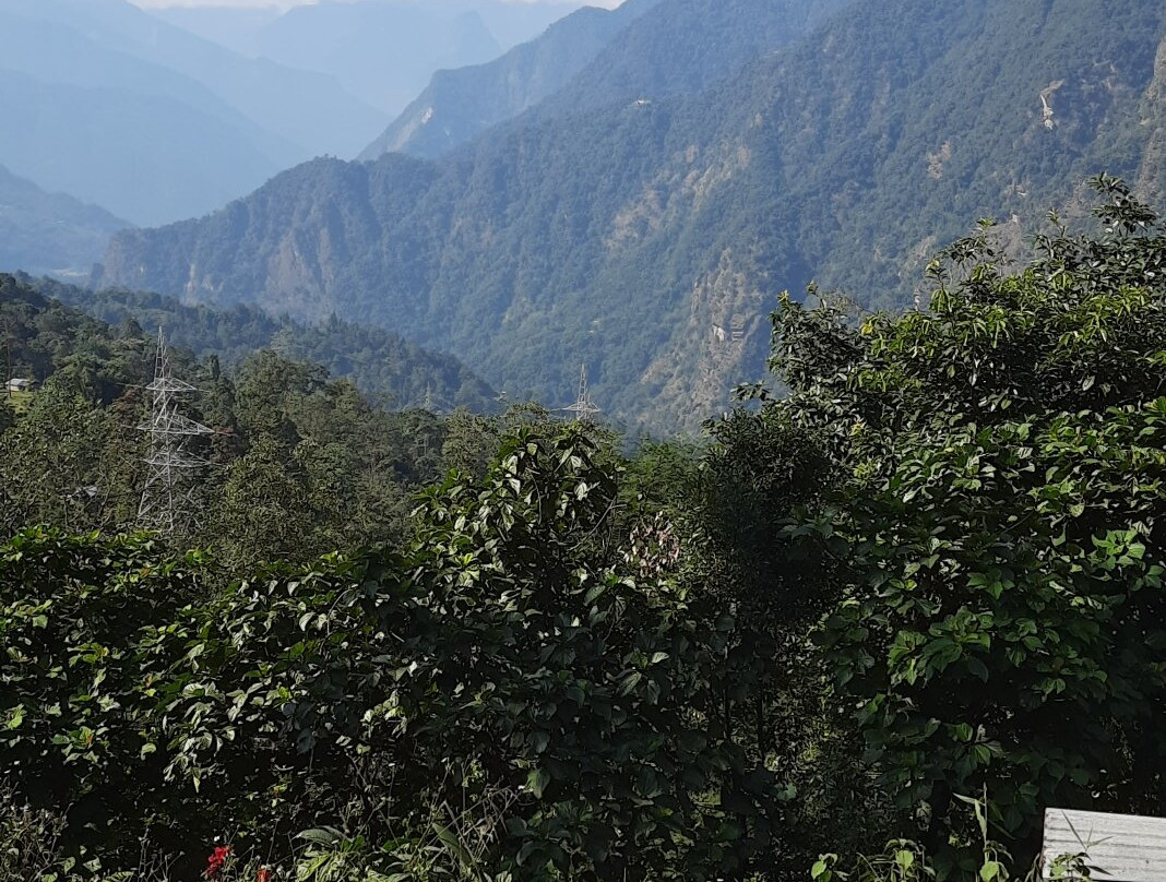 Yealbong Lee Homestay