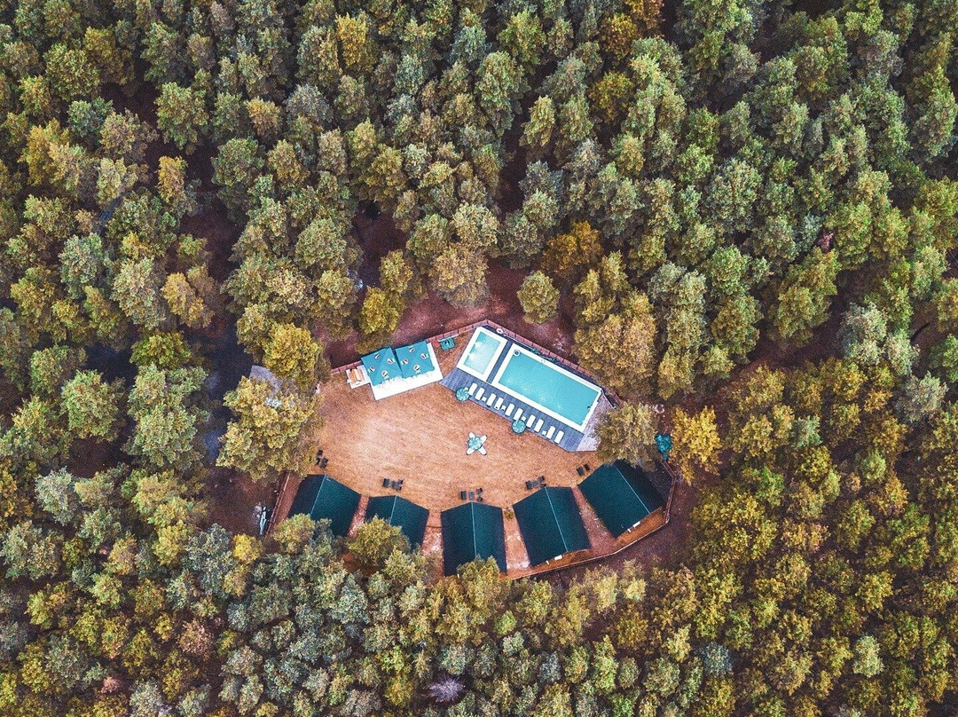 Park Hotel Surami Chalet
