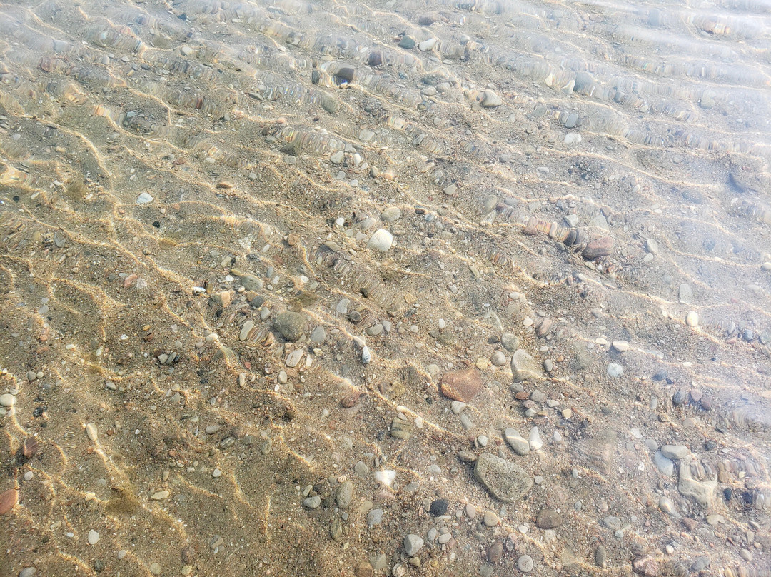 Balm Beach景点图片