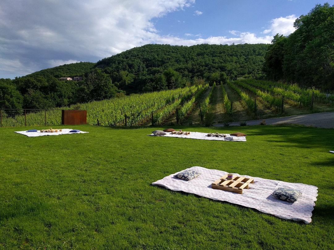 Podere Della Bruciata Winery-蒙特普尔恰诺必去景点