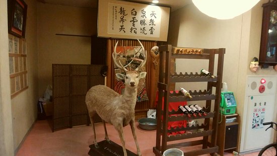 Mitomionsenkyo RYokan Hakuryuukaku-官方