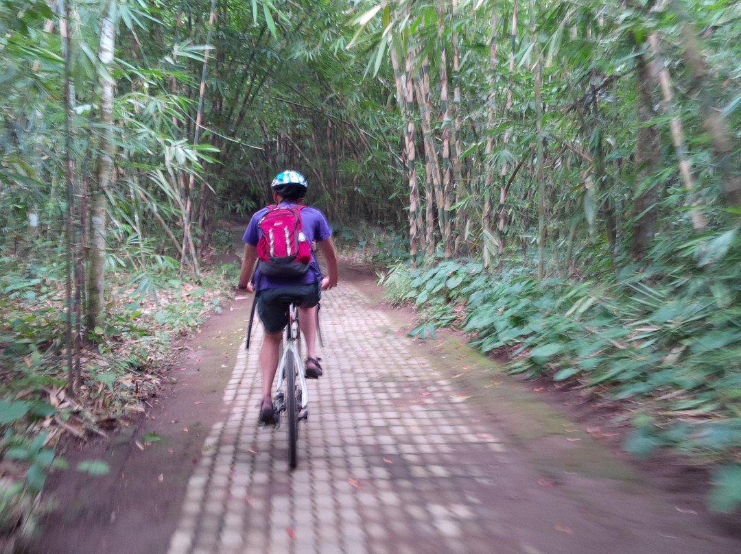 Ubud Bike Adventure-昂格桑必去景点