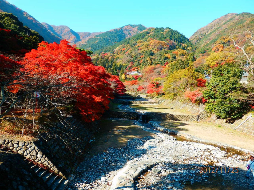 Yoro Park-养老町必去景点