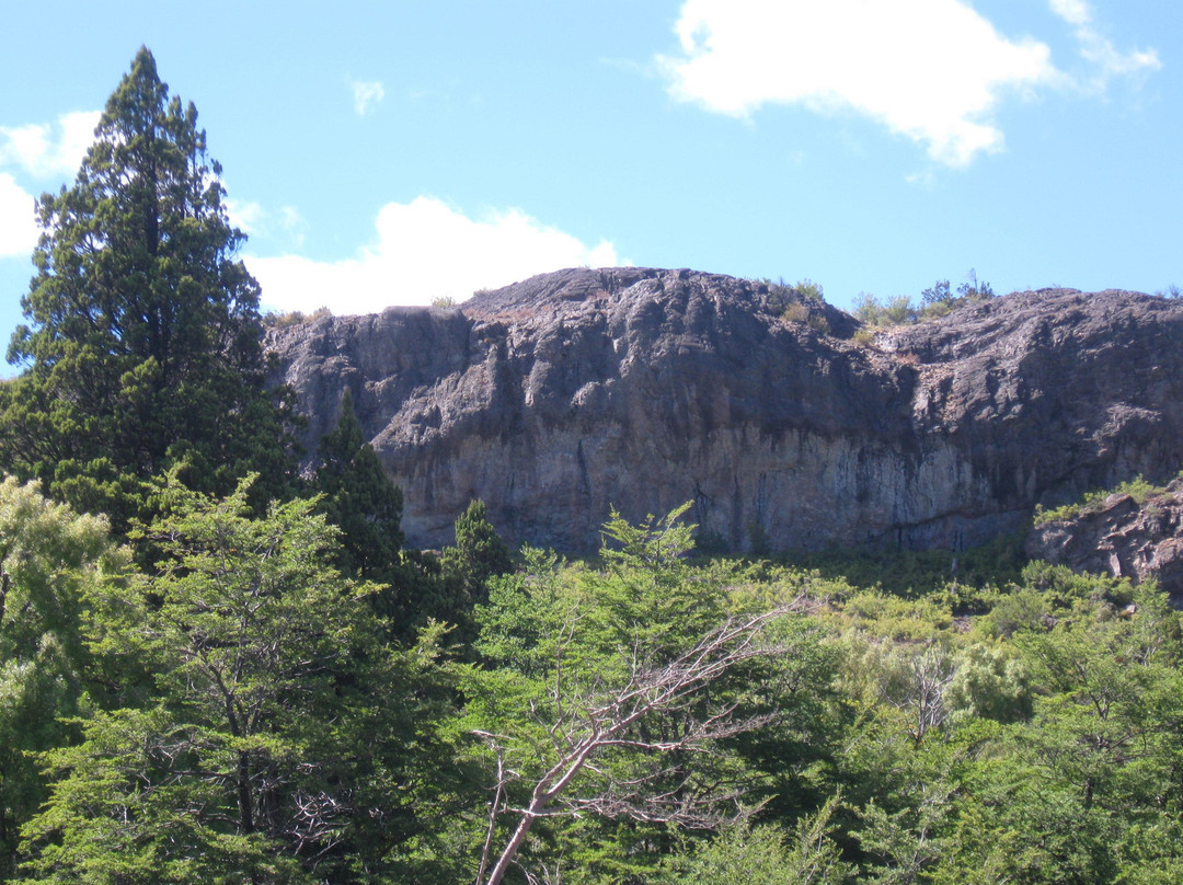 Geoglifos de Cerro Pintado景点图片