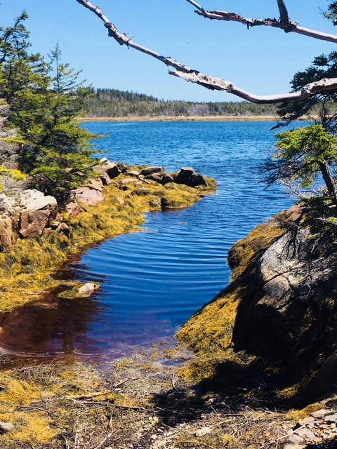 Canso旅游攻略图片