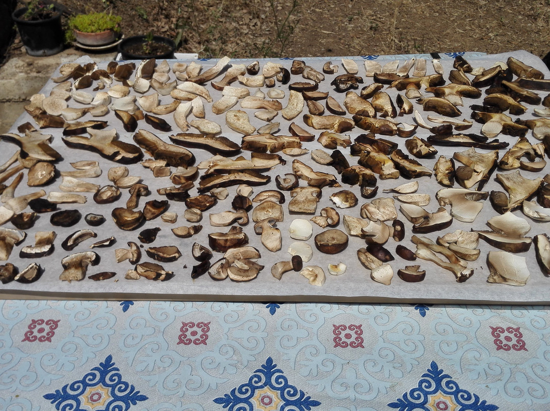 Castelbuono旅游攻略图片