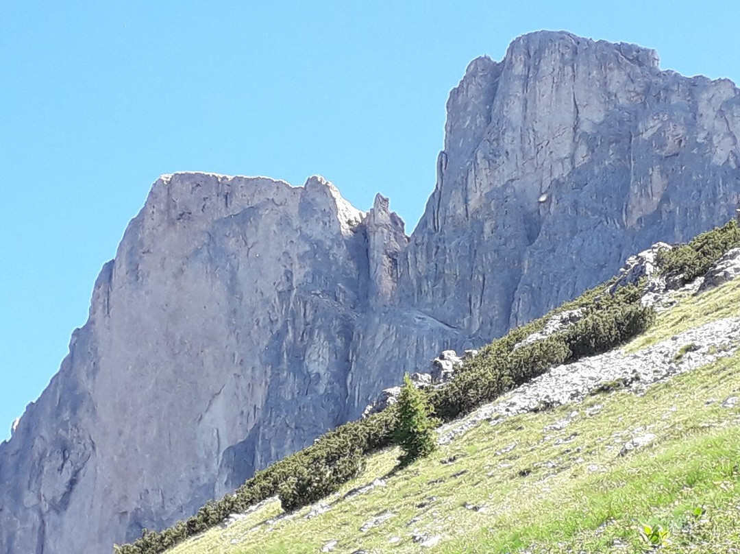 Schlern-Rosengarten / Sciliar-Catinaccio Nature Park景点图片