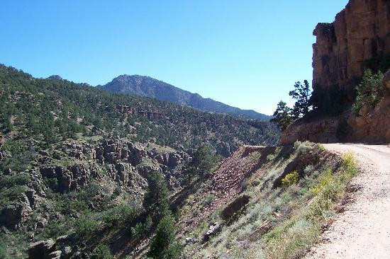 Shelf Road-克里普尔溪必去景点