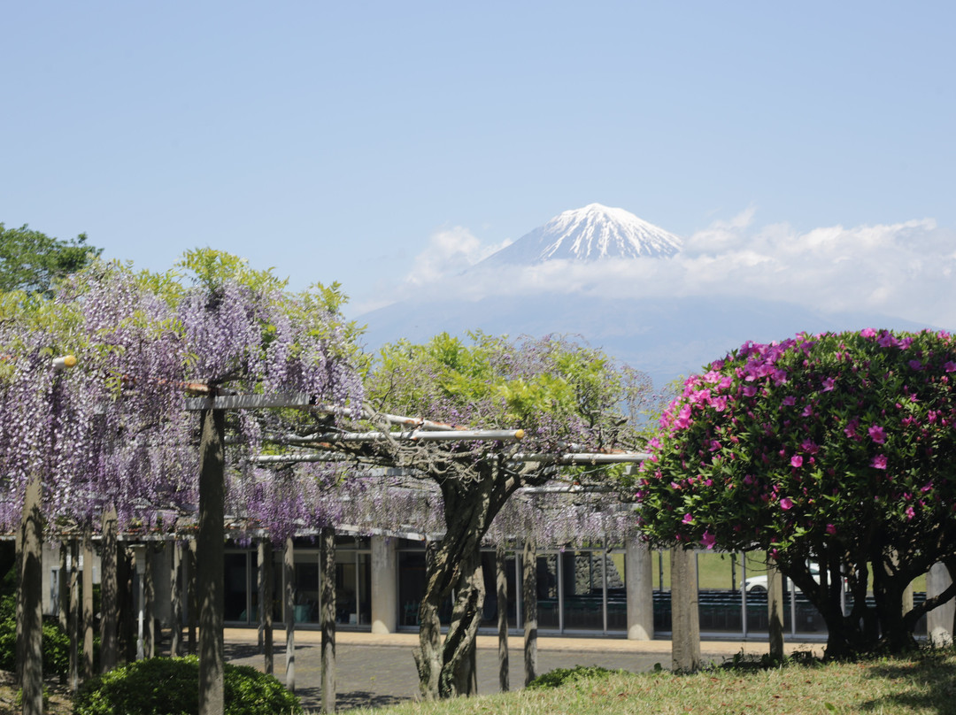 Shimonobo Temple-富士宫市必去景点