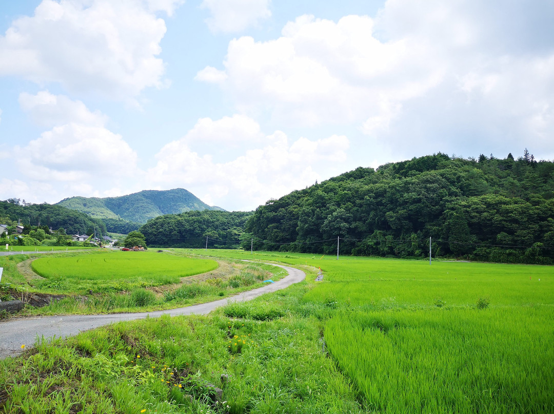 Tanabe Farm景点图片
