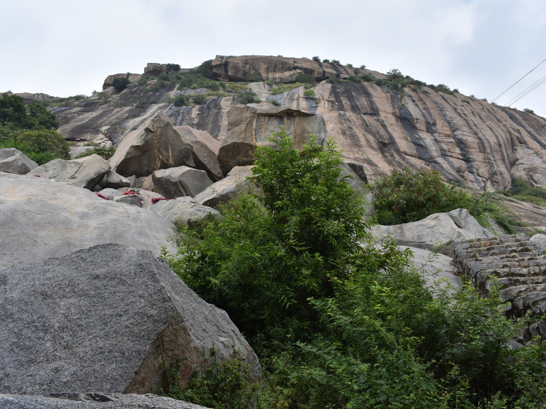 Krishnagiri Fort景点图片