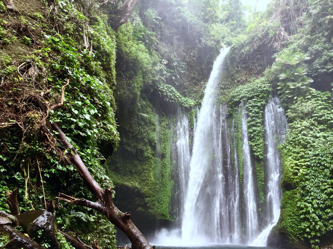 Sesait旅游攻略图片