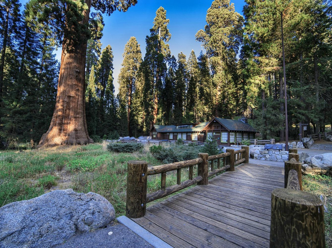 巨人森林-红杉&国王峡谷国家公园必去景点