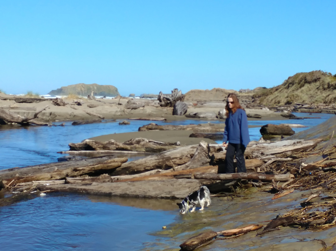 Reedsport旅游攻略图片