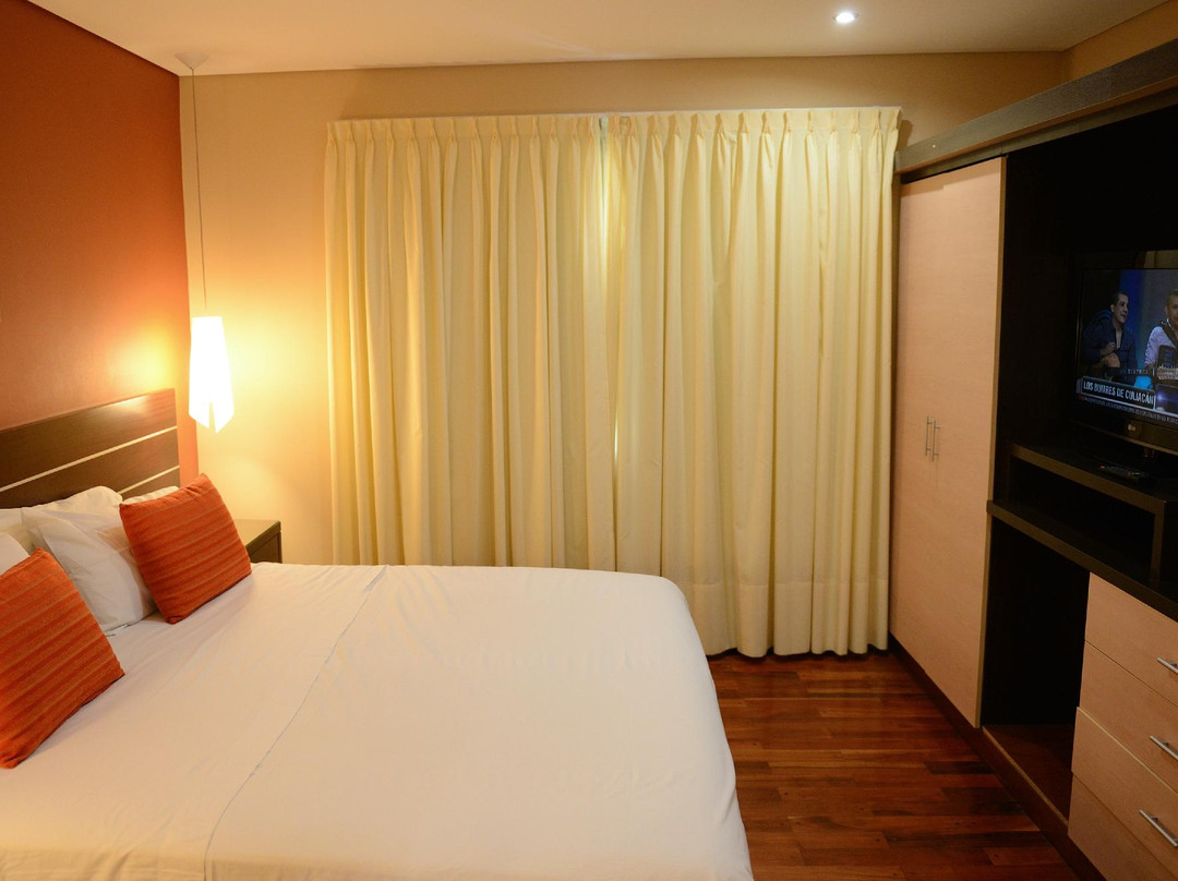 萨尔塔酒店住宿-安卡拉套房酒店